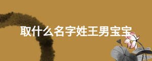 取什么名字姓王男宝宝