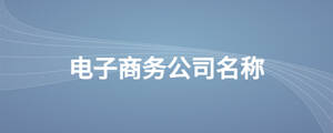 电子商务公司名称