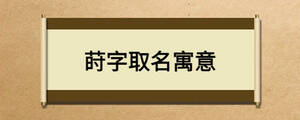 /nameask/20484.html