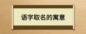 语字取名的寓意