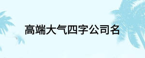 高端大气四字公司名