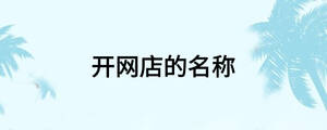 开网店的名称