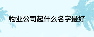 物业公司起什么名字最好
