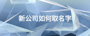 新公司如何取名字