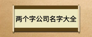 两个字公司名字大全