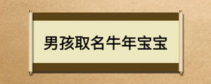 男孩取名牛年宝宝