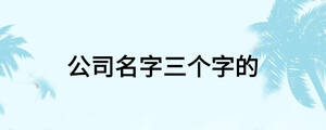 公司名字三个字的