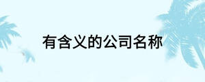 有含义的公司名称
