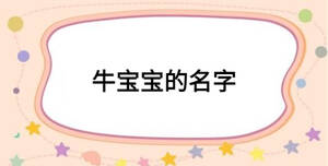 牛宝宝的名字