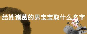 给姓诸葛的男宝宝取什么名字