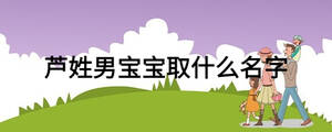 芦姓男宝宝取什么名字