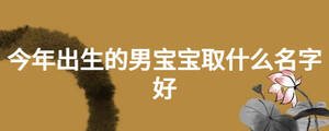 今年出生的男宝宝取什么名字好