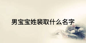 男宝宝姓裴取什么名字