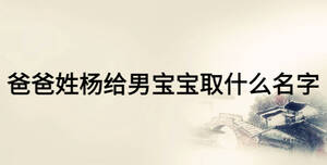 爸爸姓杨给男宝宝取什么名字