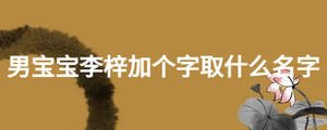 男宝宝李梓加个字取什么名字