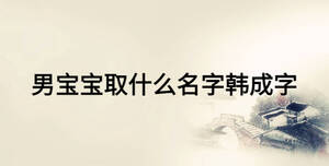 男宝宝取什么名字韩成字