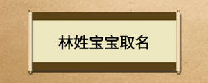 林姓宝宝取名