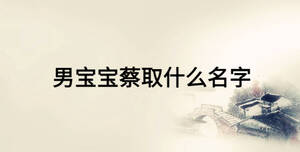 男宝宝蔡取什么名字