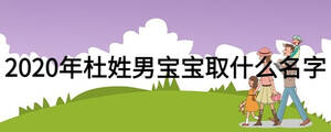 2020年杜姓男宝宝取什么名字