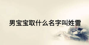 男宝宝取什么名字叫姓雷
