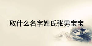 取什么名字姓氏张男宝宝