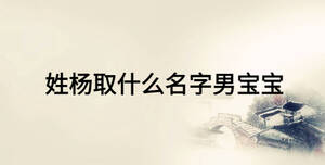 姓杨取什么名字男宝宝