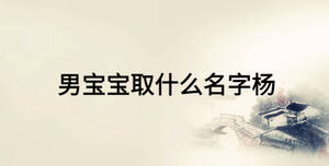 男宝宝取什么名字杨