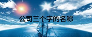 公司三个字的名称