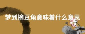 梦到摘豆角意味着什么意思