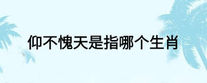 /nameask/23561.html