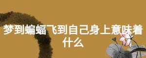 梦到蝙蝠飞到自己身上意味着什么
