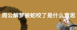 周公解梦被蛇咬了是什么意思