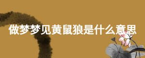 做梦梦见黄鼠狼是什么意思
