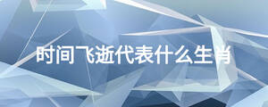 时间飞逝代表什么生肖