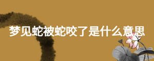 梦见蛇被蛇咬了是什么意思