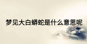 梦见大白蟒蛇是什么意思呢
