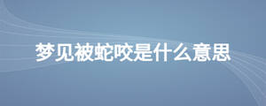 梦见被蛇咬是什么意思