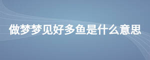 做梦梦见好多鱼是什么意思