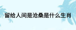 留给人间是沧桑是什么生肖