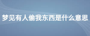 梦见有人偷我东西是什么意思