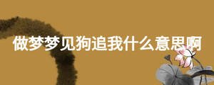 做梦梦见狗追我什么意思啊