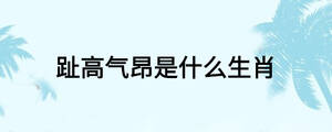 趾高气昂是什么生肖