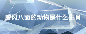 /nameask/23896.html