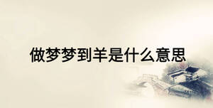 /nameask/23867.html