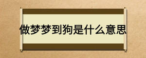 /nameask/23864.html
