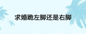 /nameask/23928.html