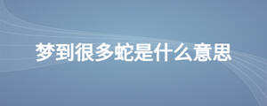 梦到很多蛇是什么意思