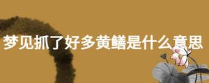 梦见抓了好多黄鳝是什么意思