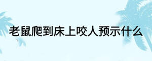 老鼠爬到床上咬人预示什么