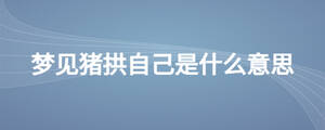 梦见猪拱自己是什么意思